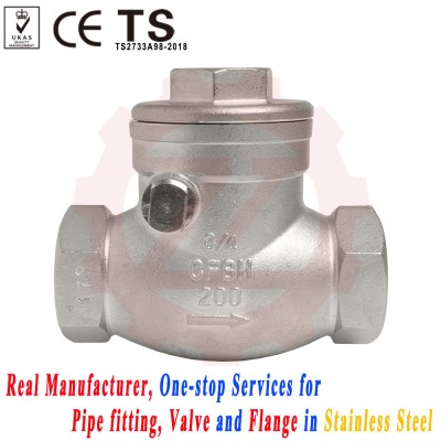 Stainless DN25 Pn16 Swing Threaded Check Valve