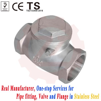 1 in Stainless Steel NPT Threaded Check Valve